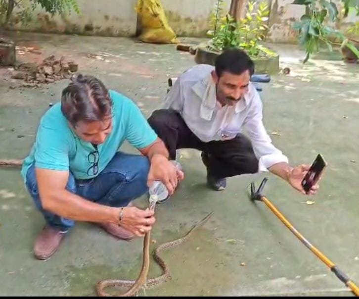 ADJ 1 के आवास पर निकला 4 फीट लम्बा सांप मचा हड़कंप